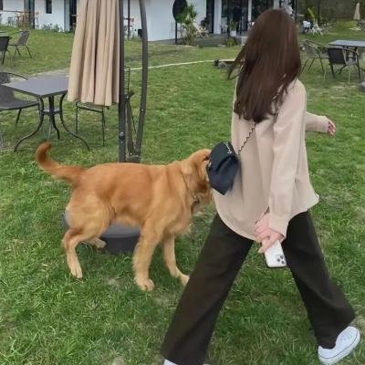 鸟