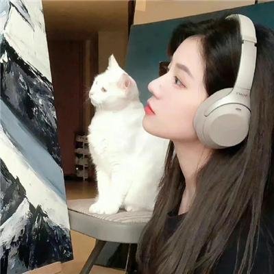 徘徊者